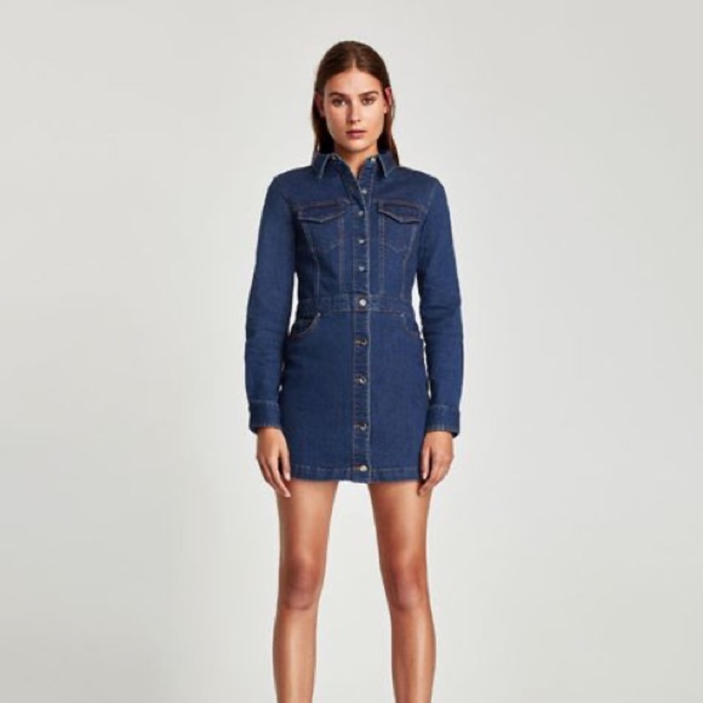 Zara Trafaulic Denim Long Sleeve Dress